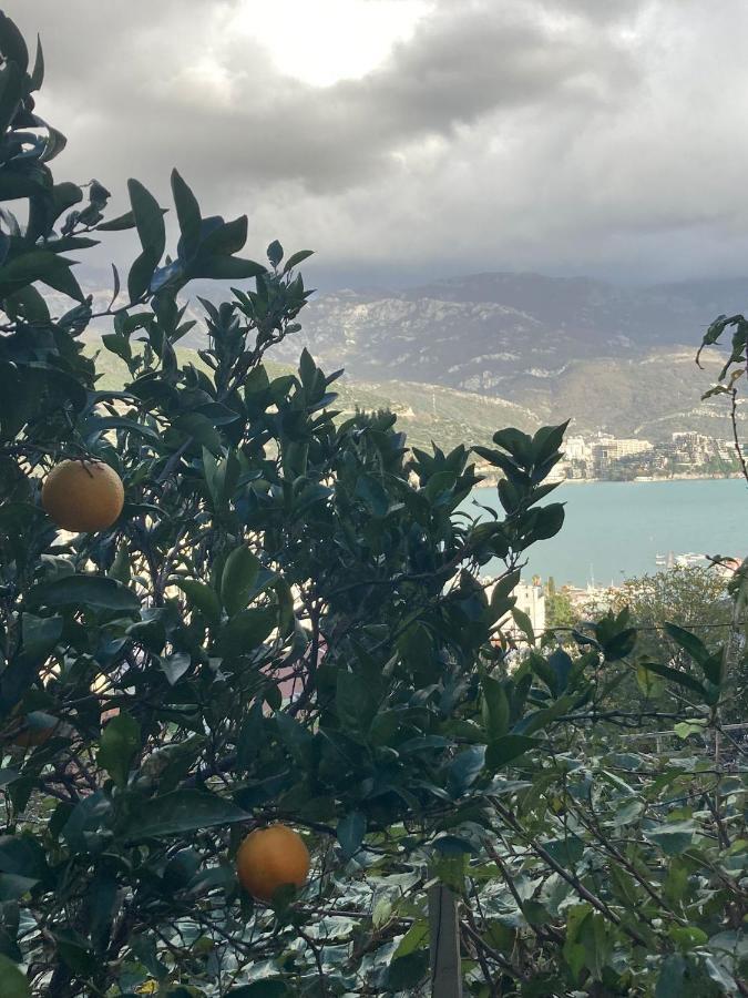 Guest House Garden Budva Luaran gambar